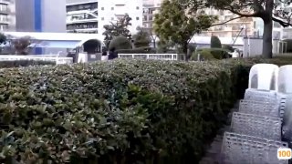 戴著眼鏡很淫騷的模特小貓自慰完給導演特殊服務